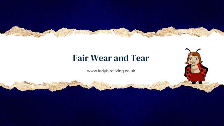 Fair Wear and Tear – examples and solving disputes