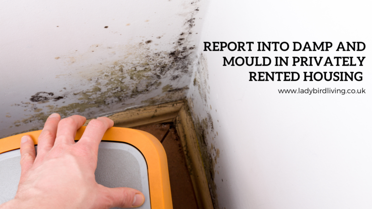 Report into damp and mould in privately rented housing 