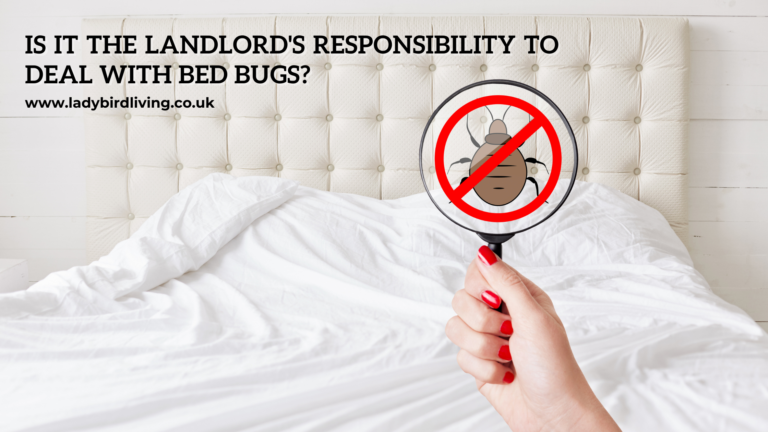 Is it the landlord’s responsibility to deal with bed bugs?  