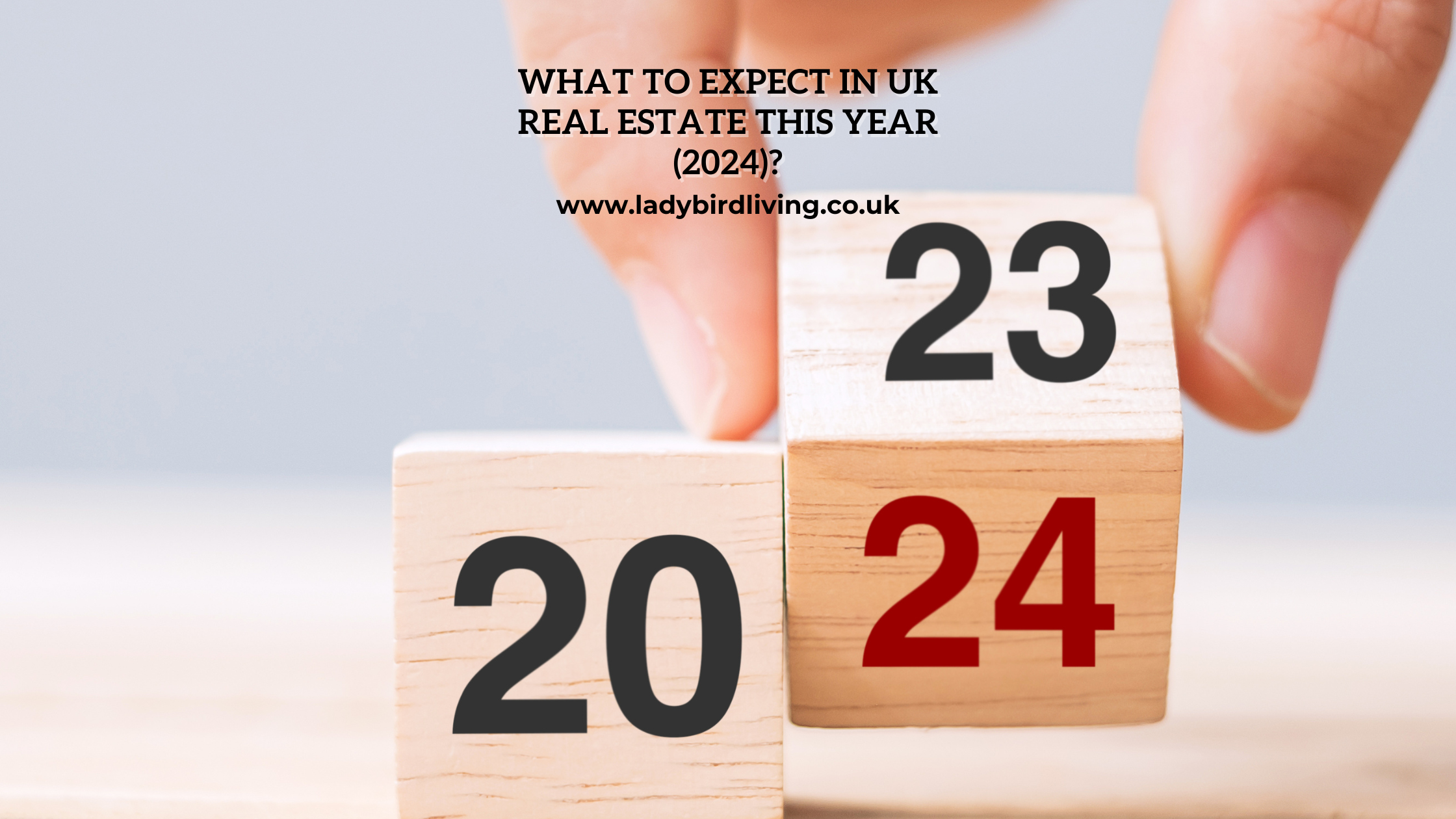 2024 real estate expectations