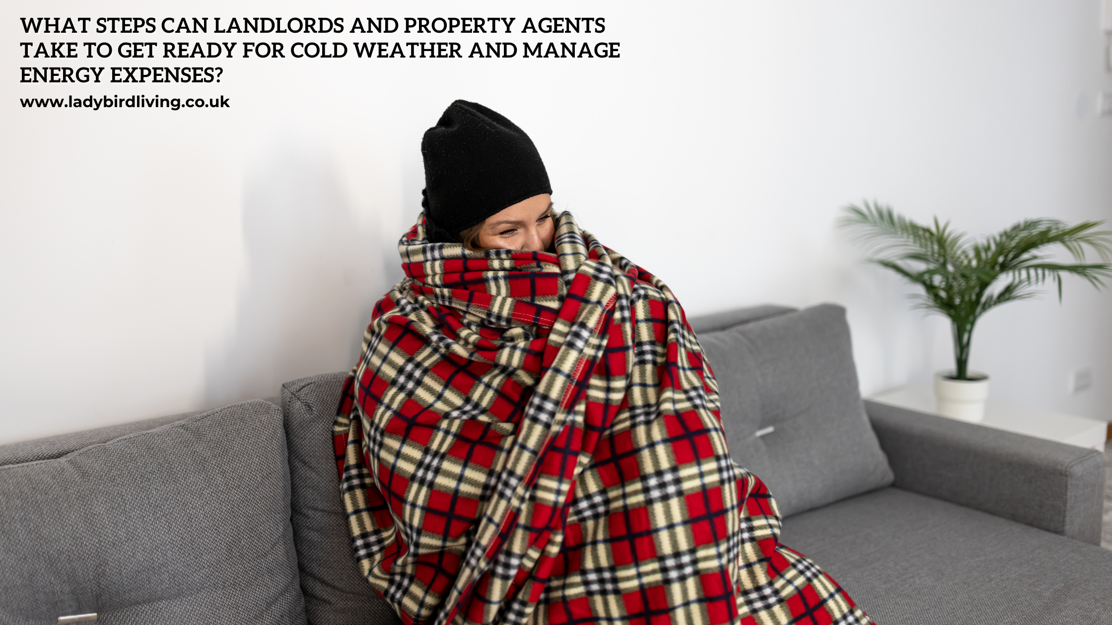 What steps can landlords and property agents take to get ready for cold weather and manage energy expenses